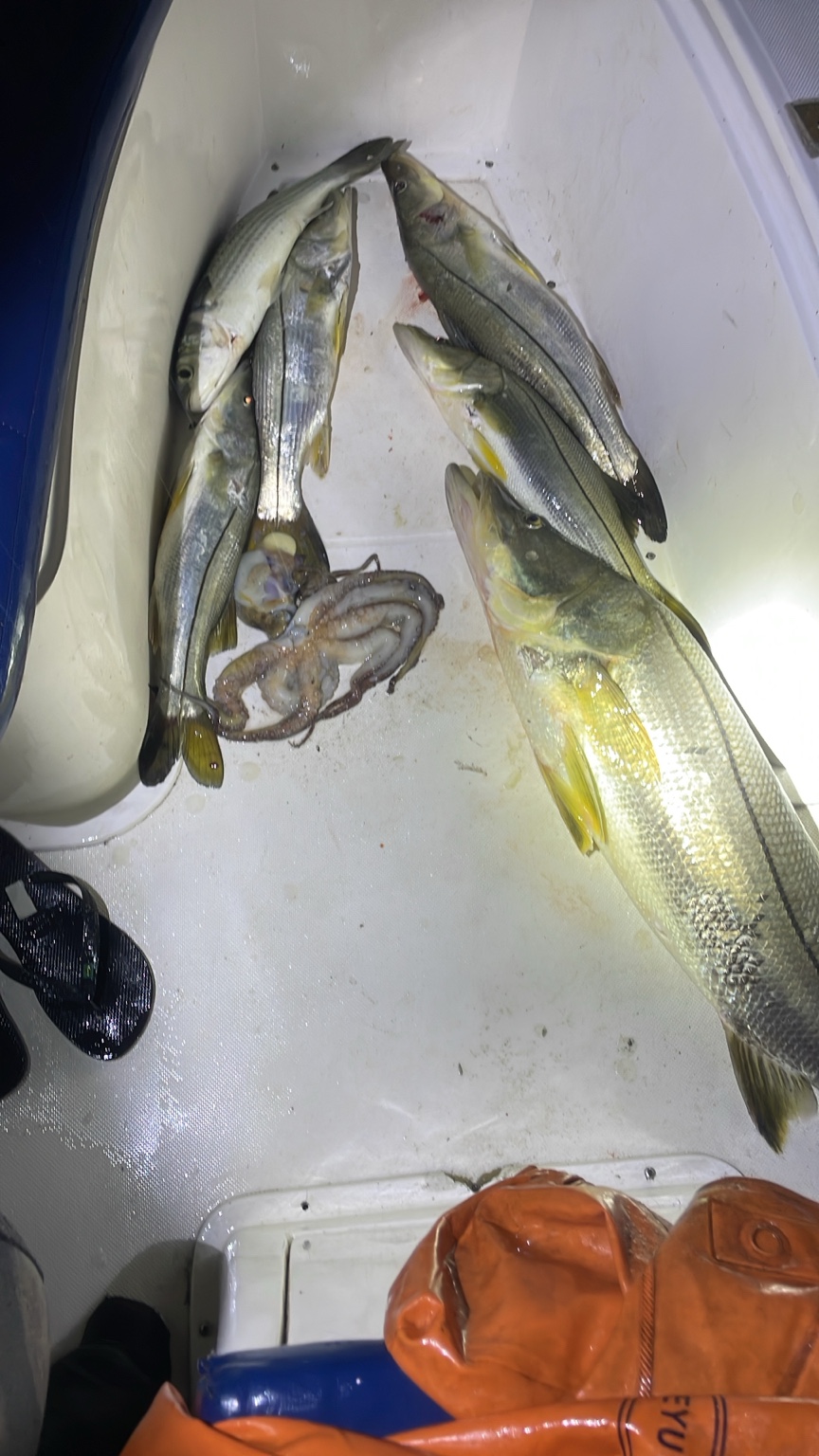 Registro de pesca 1